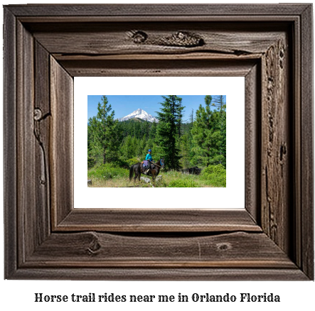 horse trail rides near me in Orlando, Florida